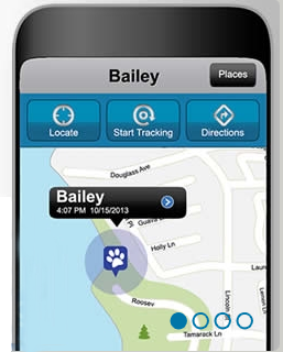 Tagg the Pet Tracker